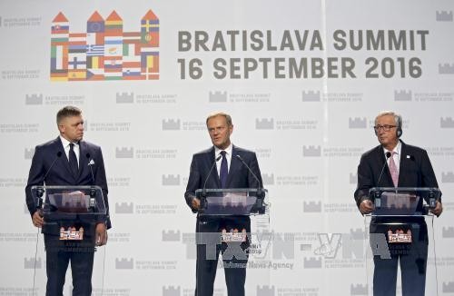 EU nimmt Beitrittsantrag von Bosnien-Herzegowina an - ảnh 1